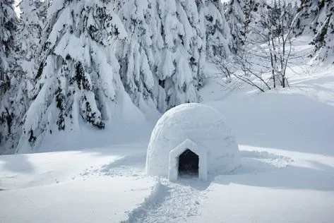Une photo d'un igloo couvert de neige