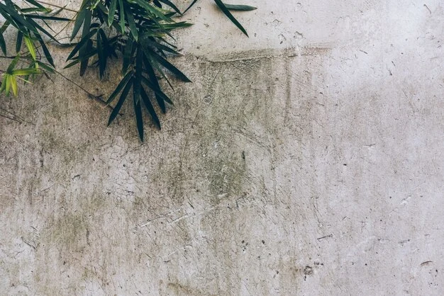 Une photographie d'un mur en béton de chanvre